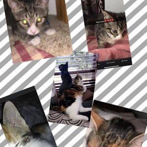 Meet your Posher, Avery